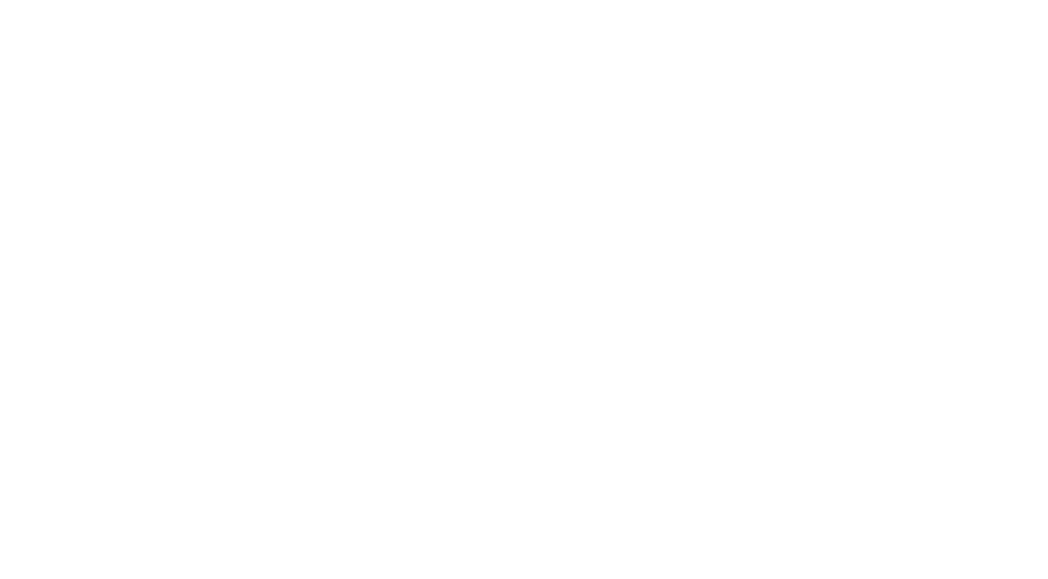 Nelson City Council